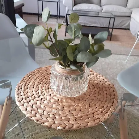 Casa Pany * פוארטו דל כרמן